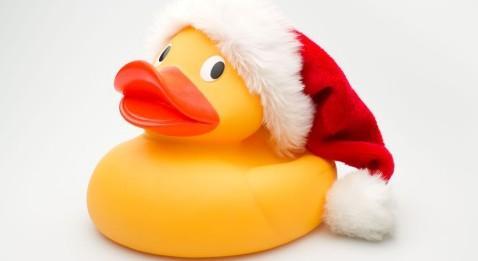 Ce qui diffère entre notre foie et celui d'un canard