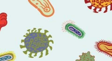 L'infection nosocomiale