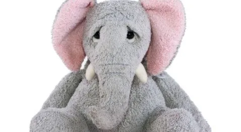 Mauvais coup pour les vingtenaires 