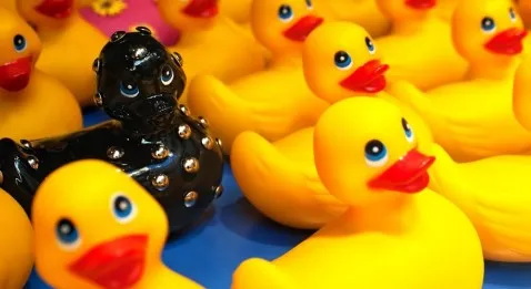 Marseille : pourquoi tant de haine ?