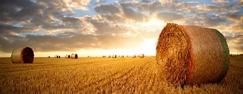 Médecin de campagne, mon amour