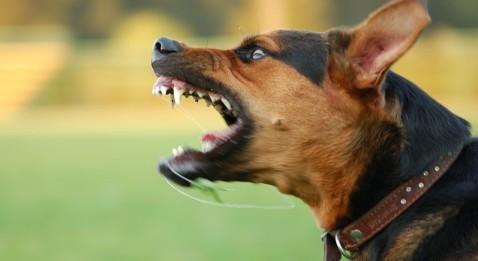 La CSMF prête À attaquer... les chefs de clinique prêts À risposter !