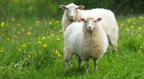 Les internes et étudiants seront mieux payés pour les gardes !