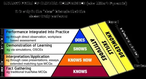 Quelle est la différence entre la théorie et la pratique ?