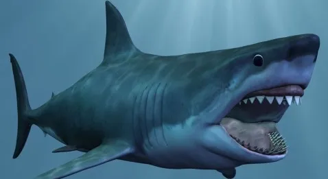 Les médecins dépasseurs rappelés À l'ordre !