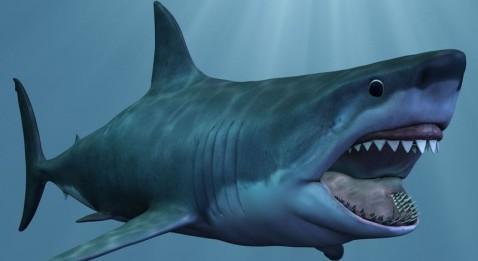 Les médecins dépasseurs rappelés À l'ordre !