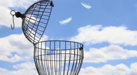 Les mutuelles auront-elles droit de vie et de mort sur nos patients ?