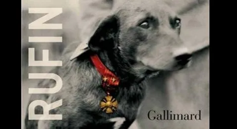 Le collier rouge, nouveau livre de Jean-Christophe Rufin