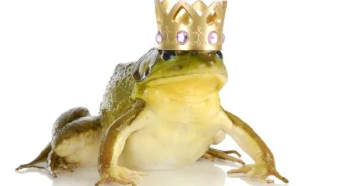 Il était une fois... le storytelling