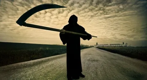 La soufrance de nos confrères syriens...