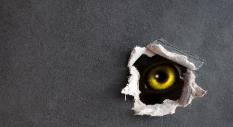 Faut-il avoir peur du Tiers Payant Généralisé ?