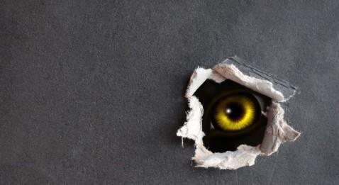 Faut-il avoir peur du Tiers Payant Généralisé ?