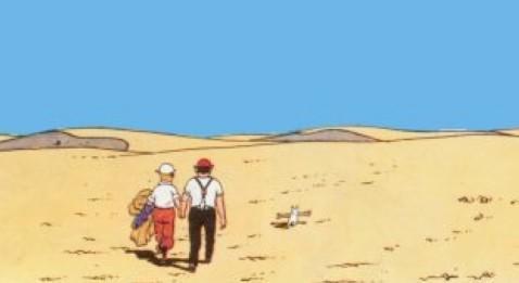 Démographie médicale