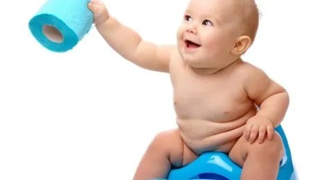 La journée mondiale des toilettes est créée !