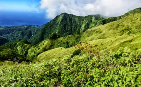 ECNi 2020 : un poste d’internat de plus au CHU de Martinique pour 2020-2021