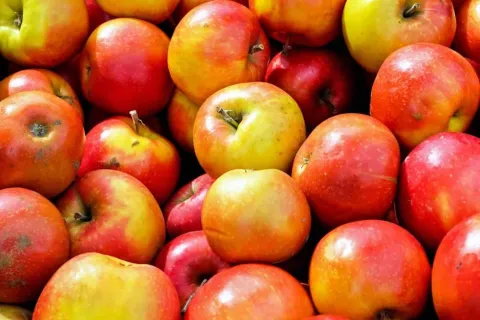 Toutes les recherches en nutrition sont biaisées ou fausses