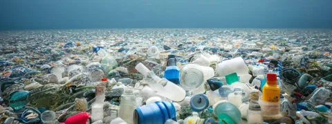 Présence de microplastiques dans les organes et le système sanguin, les scientifiques s’interrogent