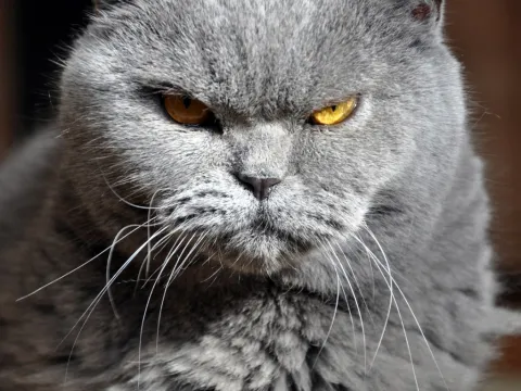 Nouvelle aide pour les médecins libéraux : le compte n’y est pas pour les syndicats