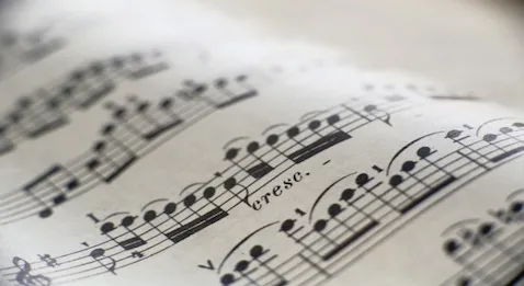 Le guide des tendances des maladies de l’été 