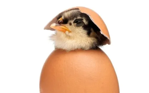 Covid-19 : Un vaccin multivariant de Pfizer pourrait voir le jour à l'automne