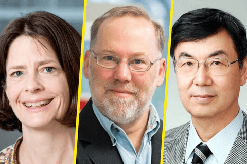 Prix Nobel de médecine 2025 : trois chercheurs récompensés pour leur recherche sur le contrôle du système immunitaire
