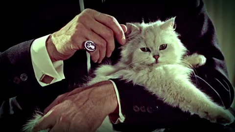 Les candidats à la présidentielle caressent les cliniques dans le sens du poil