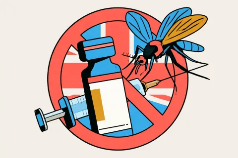 Chikungunya : nouveau revers pour le vaccin de Valneva, cette fois-ci privé d'autorisation au Royaume-Uni
