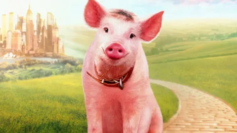 Robots chirurgiens autonomes : de bons résultats sur les porcs