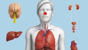 La chirurgie et la 3D