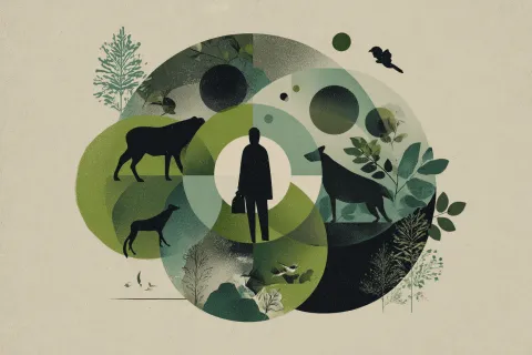 Santé, animaux, environnement : la France organise le premier sommet international « One Health »