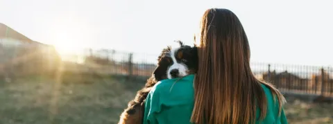 Les vétérinaires se suicident deux fois plus que les médecins selon une étude 