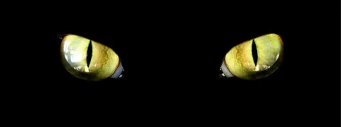 Pourquoi les hôpitaux sont des proies faciles pour les cybercriminels ?