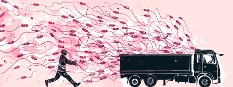 Convoi exceptionnel : des stocks de sperme breton pour les Ch'tis, une première  