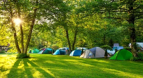 L'exercice libéral est-il possible sans liberté d'installation ? 