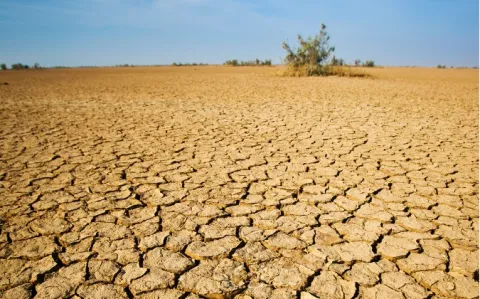 Zéro interne en infectiologie à Saint-Étienne jusqu'en 2023 !!