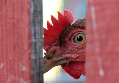 AP-HP : des "accès abusifs" à des dossiers de personnel et de célébrités sur Orbis