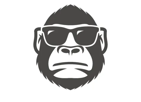 Après l’I.A., des singes transgéniques pour remplacer les radiologues ?