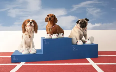 Classement de Shanghaï : la France se hisse du 6e au 3e rang