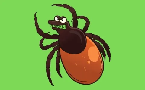 Le saviez-vous ? 14% de la population mondiale a eu la maladie de Lyme