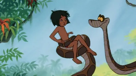 Y voir clair dans la jungle des applis santé