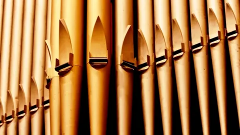 « A l’hôpital, on travaille en tuyaux d’orgues »