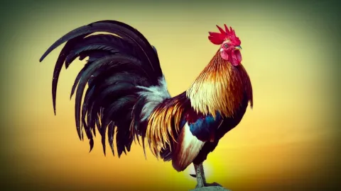 Uberisation de la santé : la France en avance sur les Etats-Unis