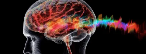 Dépression, maladies de Parkinson et d’Alzheimer, TOC... Et si l'on soignait le cerveau avec précision, par ultrasons focalisés ?