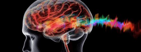Dépression, maladies de Parkinson et d’Alzheimer, TOC... Et si l'on soignait le cerveau avec précision, par ultrasons focalisés ?