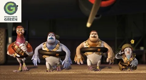 Pollution de l’air : le pigeon, nouvel allié du médecin