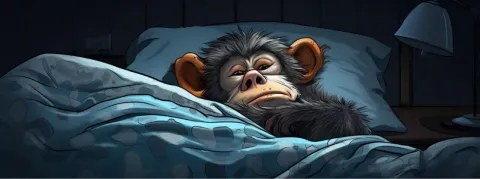 La variole du singe (Mpox) inquiète l'OMS, la grippe progresse en France 