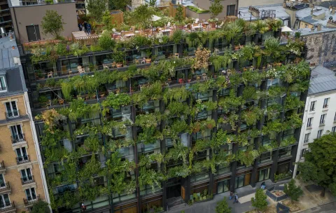 Deux lieux ouverts à Paris pour soigner les soignants