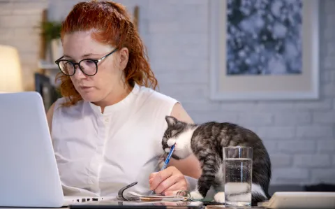 « Téléconsultation, mode d’emploi »