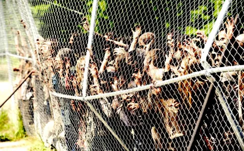 Paces : des étudiants de Paris-Descartes saisissent le tribunal administratif