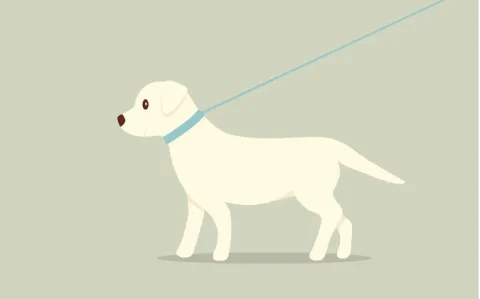 Un nouveau décret restreint encore l’utilisation de l’hydroxychloroquine contre Covid19